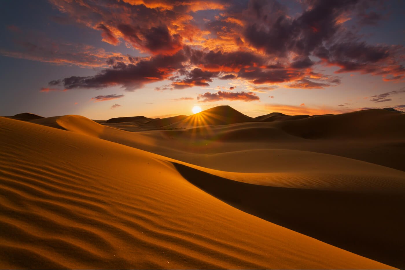 Rajasthan Desert
